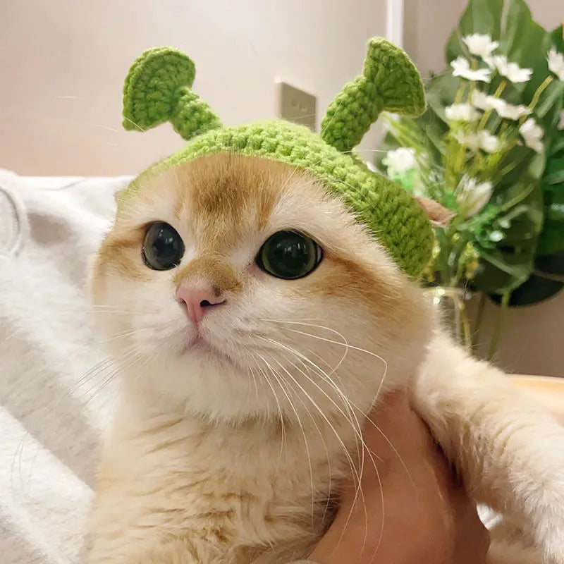 Cute Refined Cat Hat Elastic Autumn