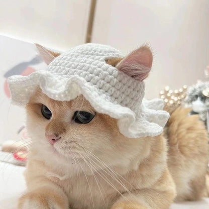 Cute Refined Cat Hat Elastic Autumn