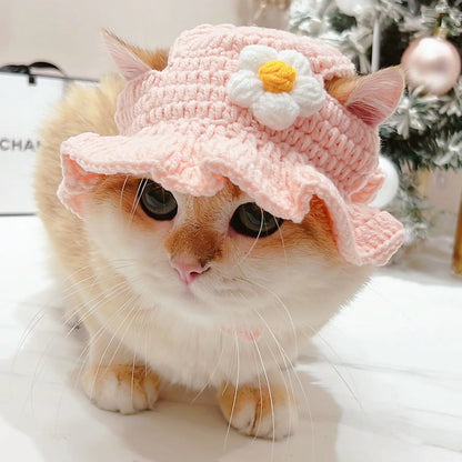 Cute Refined Cat Hat Elastic Autumn