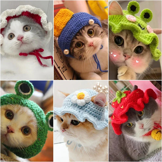 Cute Refined Cat Hat Elastic Autumn