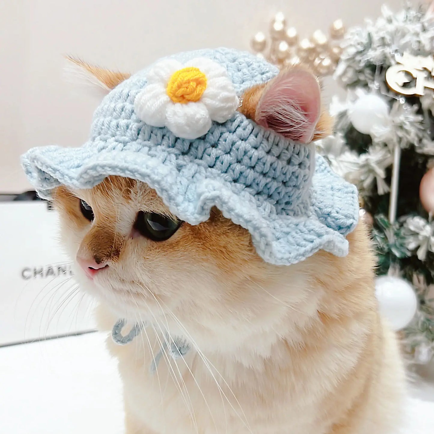 Cute Refined Cat Hat Elastic Autumn